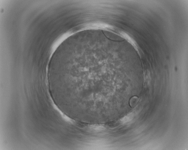 X0000066971103200603271202