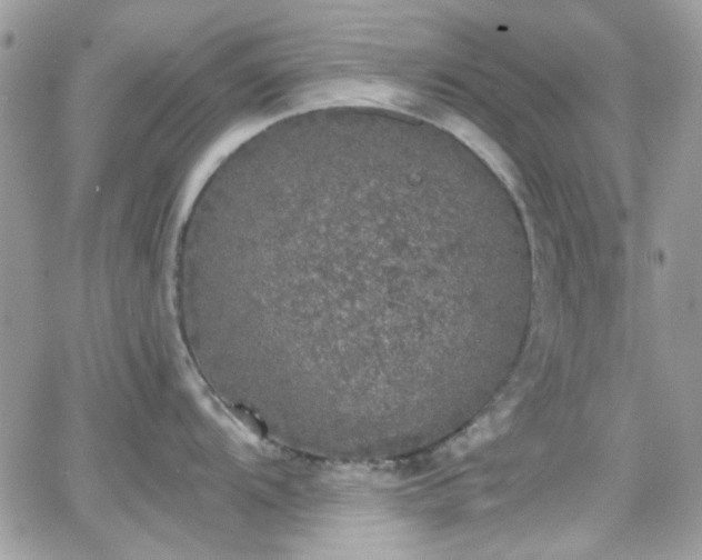 X0000066971104200603271202