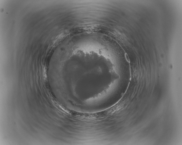 X0000066971106200603271201