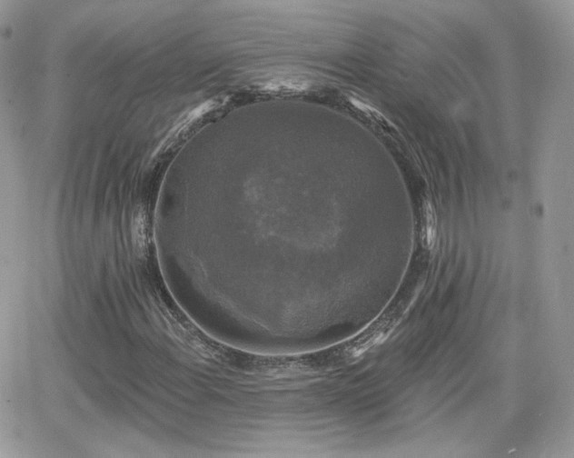 X0000066971108200603271201