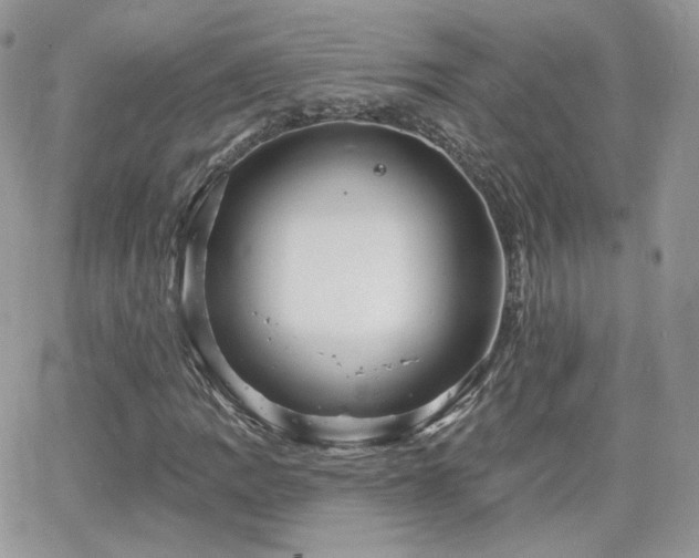 X0000066971109200603271201