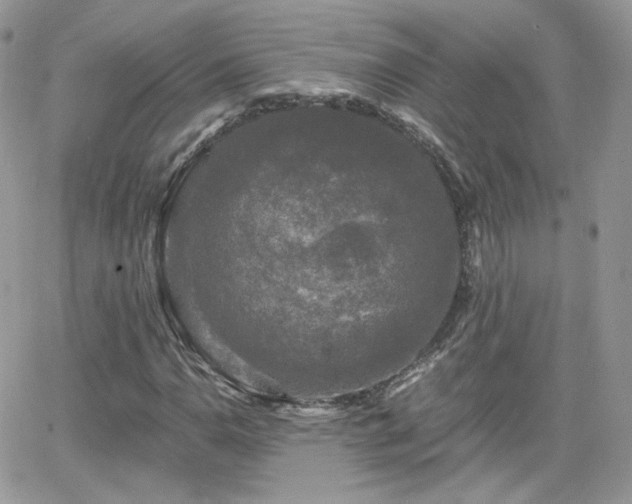 X0000066971110200603271201