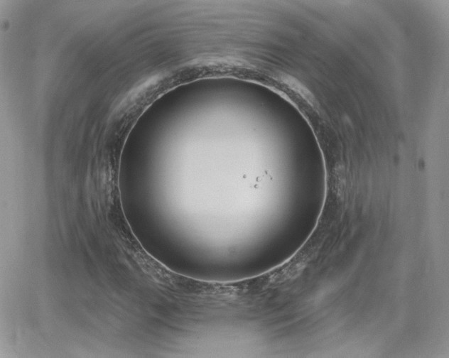 X0000066971111200603271201