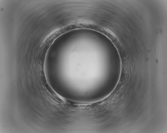 X0000066971112200603271201