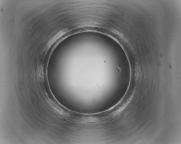 X0000066971113200603271201