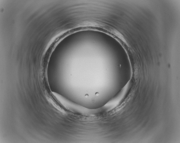 X0000066971116200603271201