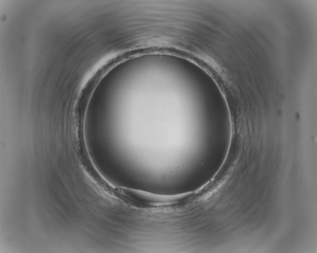 X0000066971118200603271201