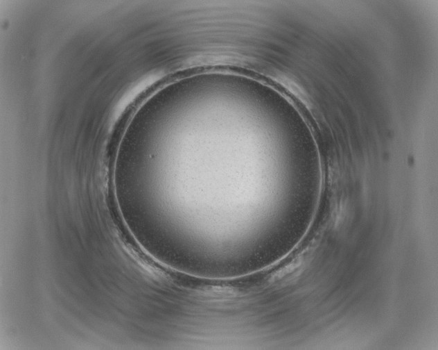 X0000066971119200603271201