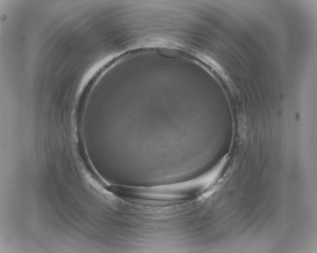 X0000066971120200603271201