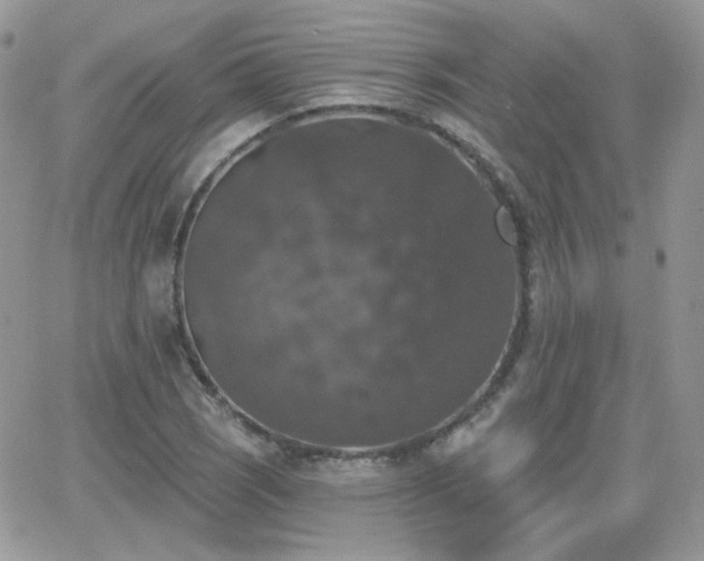 X0000066971121200603271201