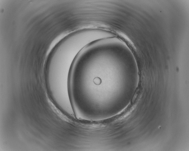 X0000066971122200603271201