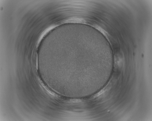 X0000066971123200603271201