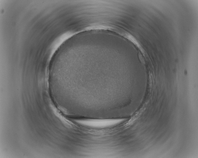 X0000066971124200603271201