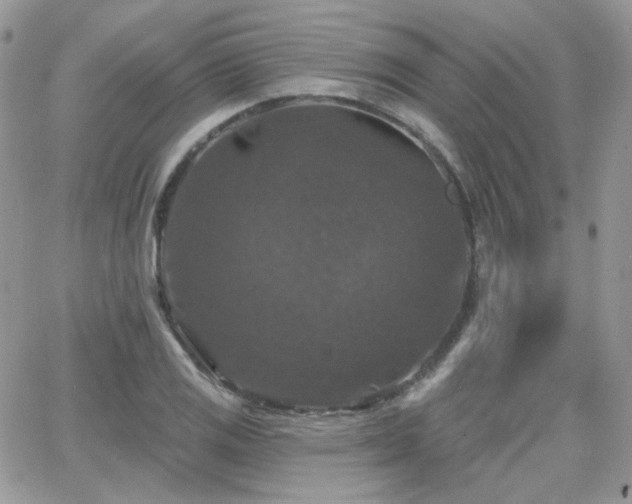 X0000066971125200603271201