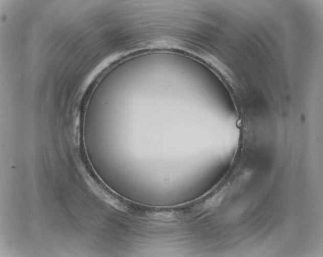 X0000066971126200603271201