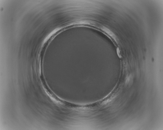 X0000066971127200603271201