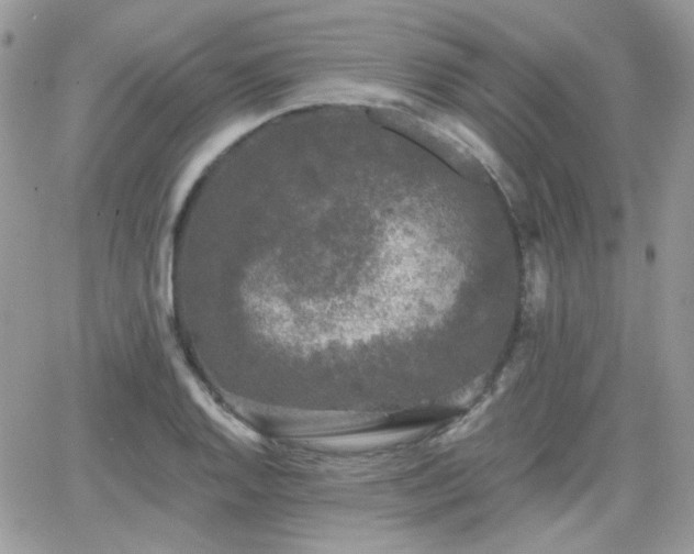 X0000066971128200603271201