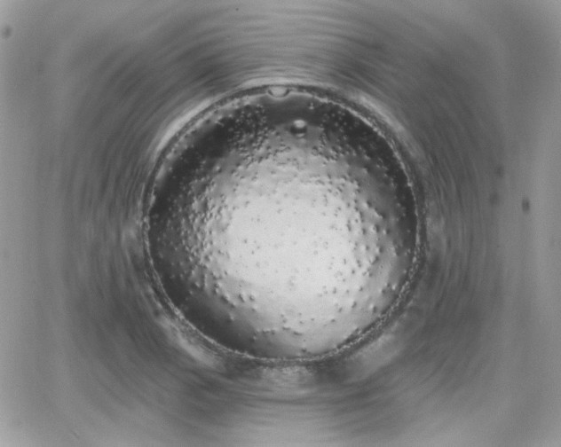 X0000066971129200603271201