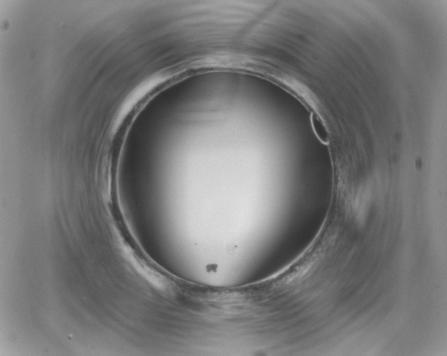 X0000066971131200603271201