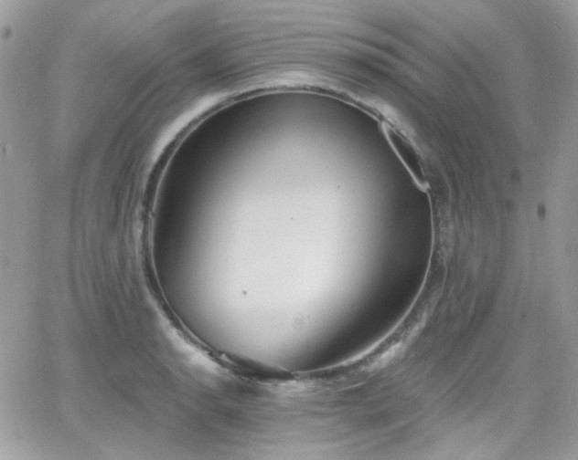 X0000066971134200603271201