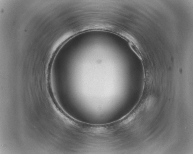 X0000066971135200603271201