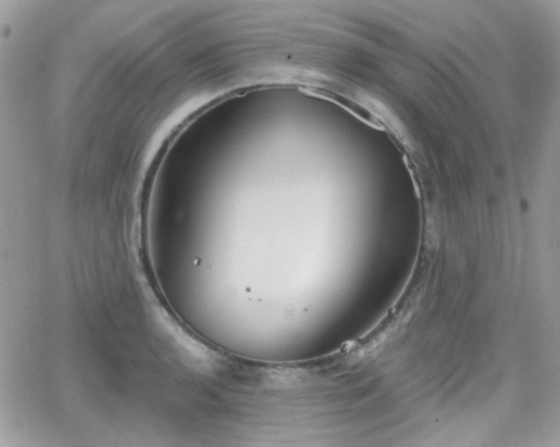 X0000066971136200603271201