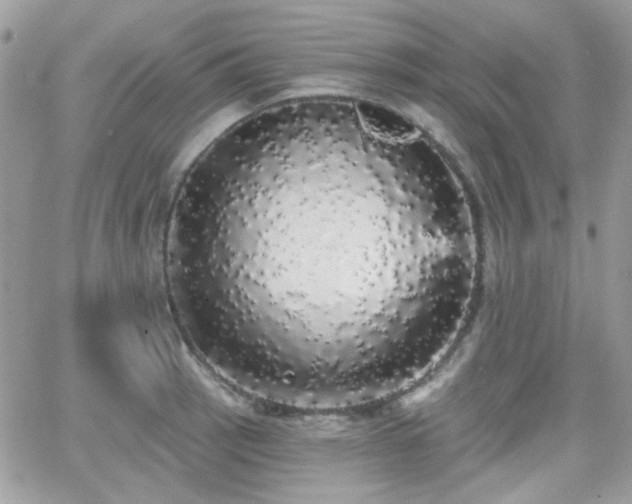 X0000066971137200603271201