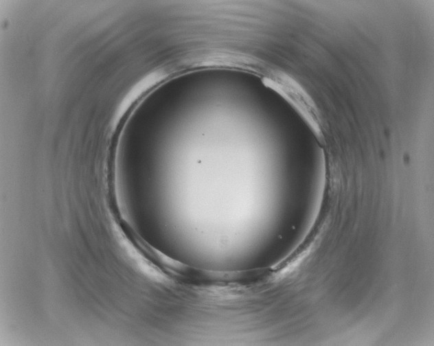 X0000066971138200603271201