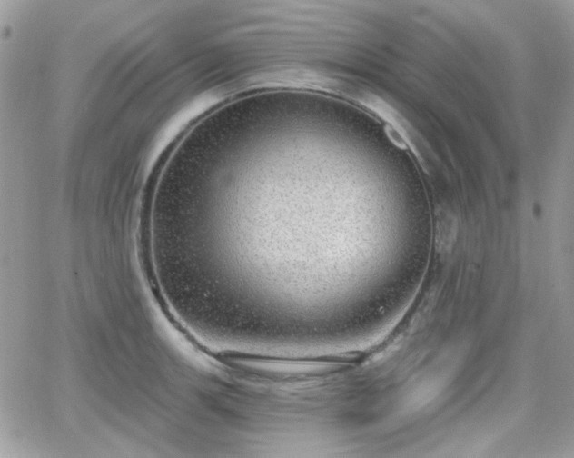 X0000066971139200603271201