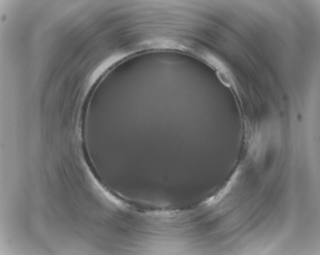 X0000066971141200603271201