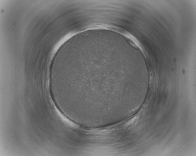 X0000066971143200603271201