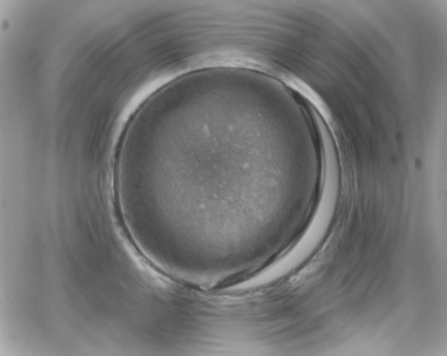 X0000066971144200603271201