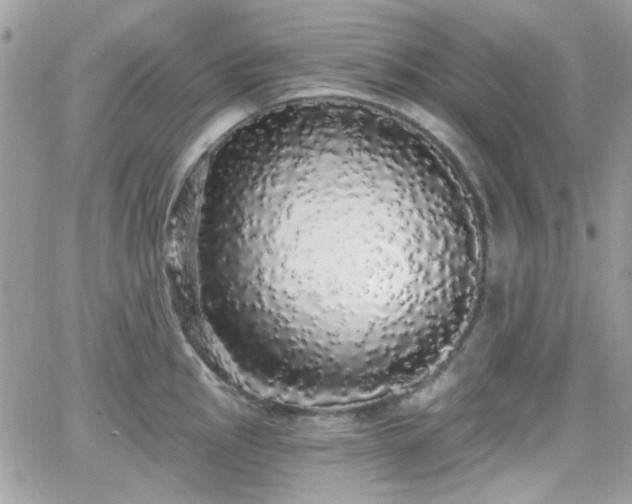 X0000066971145200603271201