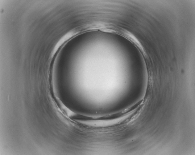 X0000066971146200603271201