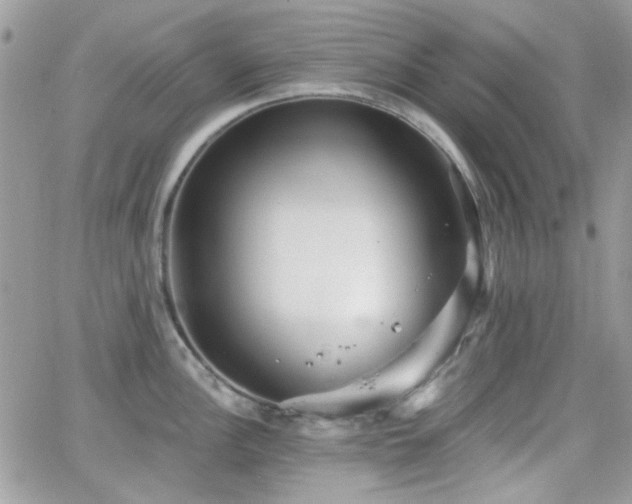 X0000066971148200603271201