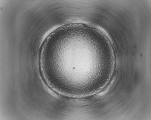 X0000066971149200603271201