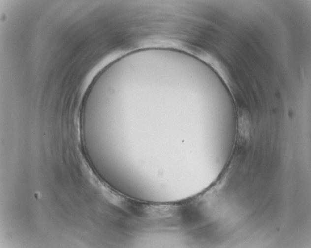 X0000066971150200603271201