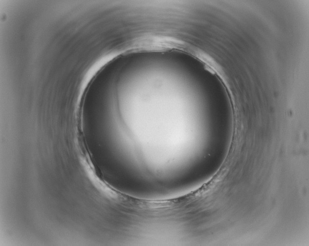 X0000066971152200603271202