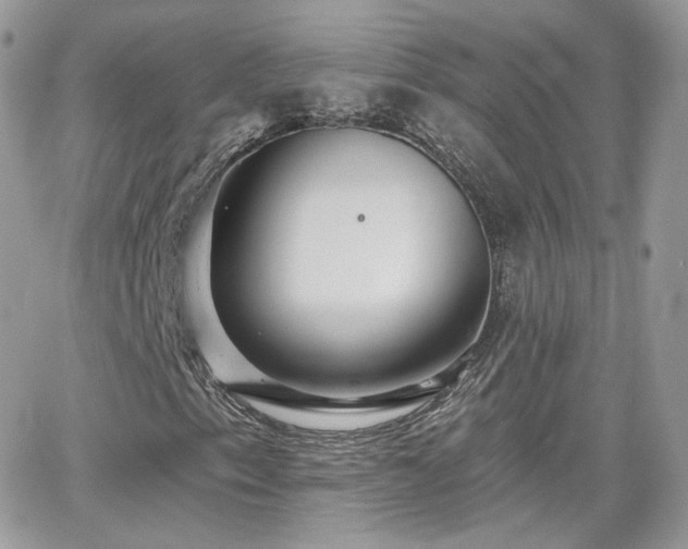 X0000066971153200603271201