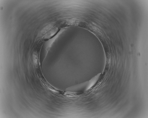 X0000066971154200603271201