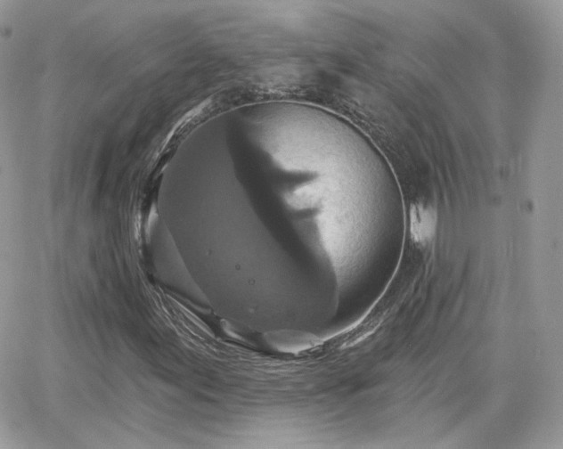 X0000066971155200603271201