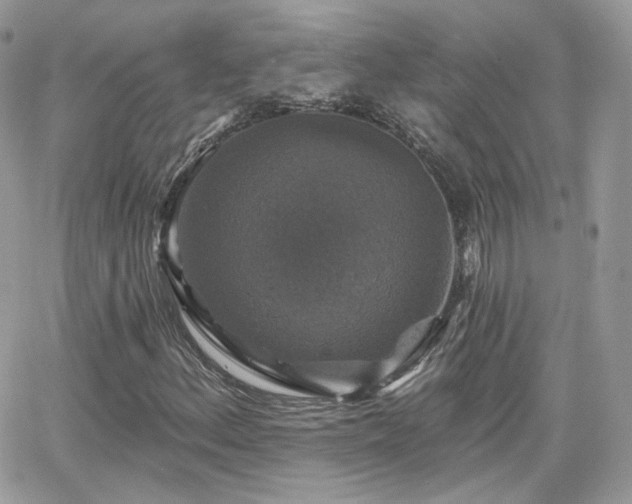 X0000066971156200603271201