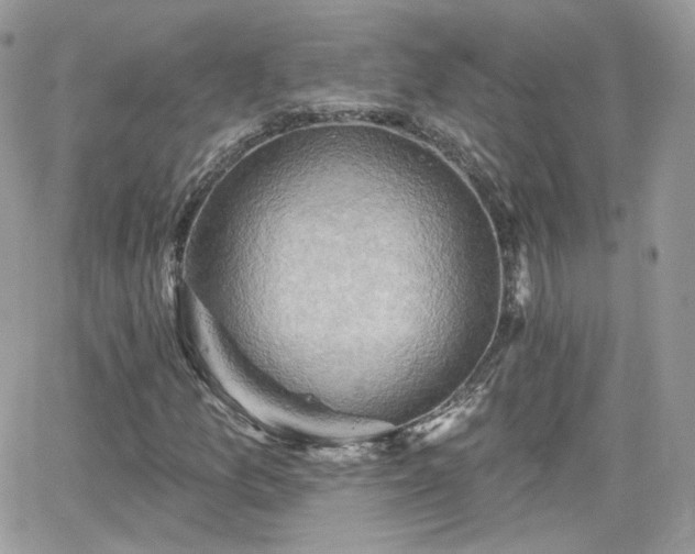 X0000066971157200603271201