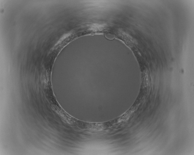 X0000066971158200603271201