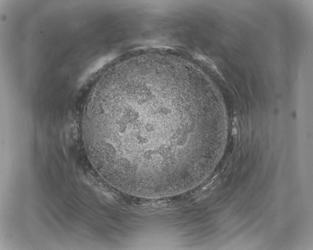 X0000066971159200603271201