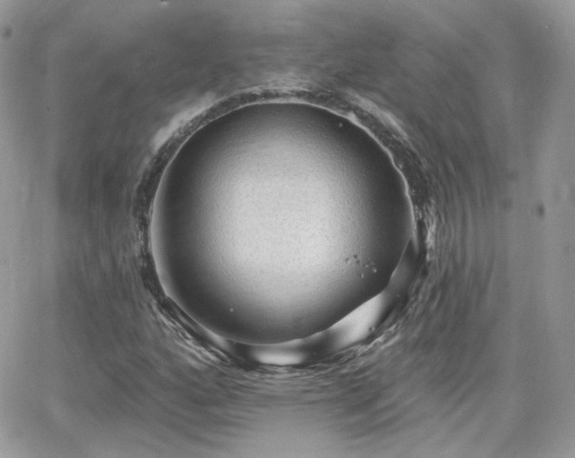 X0000066971160200603271201