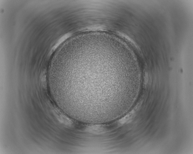 X0000066971162200603271201