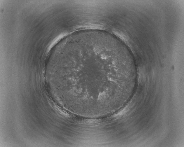 X0000066971163200603271201