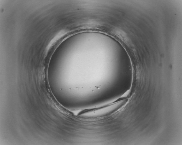 X0000066971164200603271201