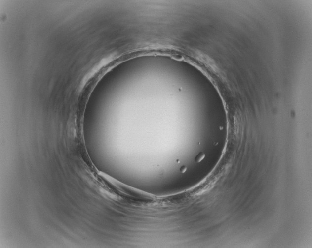 X0000066971165200603271201